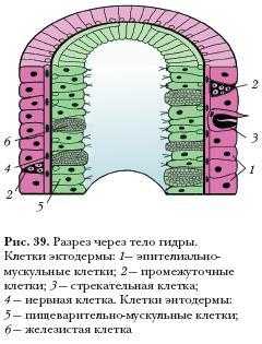 Кракен вывод средств